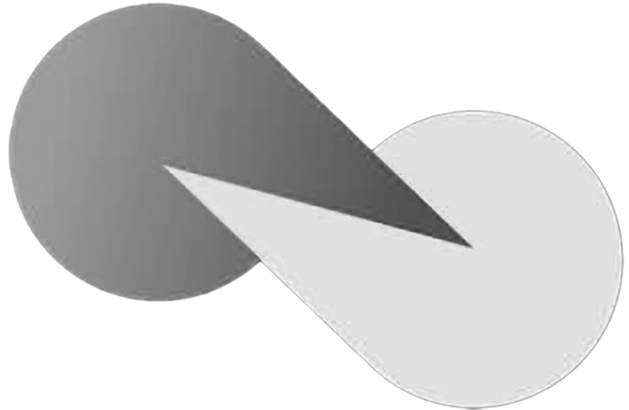 Logo White